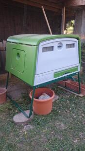 Large green Cube chicken coop in a garden