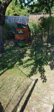 Omlet chicken fencing setup in a garden.