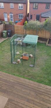 Good protection from rain while allowing natural light in