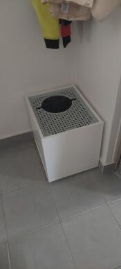 Jump on litter cabinet