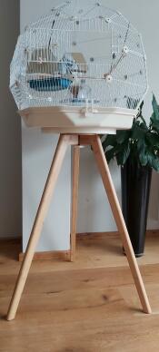 Geo bird cage with white cage, cream base and tall legs