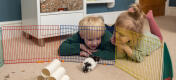 Two children lying down watching their hamster in a colourful pen.