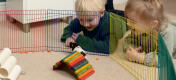 Two children watching a hamster in a pen with colorful toys.