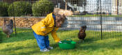 Girl feeding chickens by Omlet chicken fencing