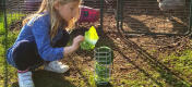 Girl filling up Omlet Caddi chicken treat holder