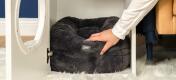 Person putting black Maya donut cat bed inside of Maya indoor cat house