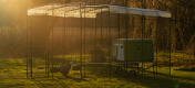 Eglu Cube chicken coop inside a walk in run with clear cover on top and sunset in background