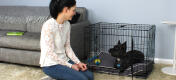 The Omlet Fido Classic is an excellent tool to train a puppy.