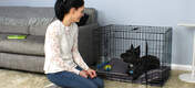 The Omlet Fido Classic is an excellent tool to train a puppy.