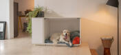 Labrador dog relaxing inside the Fido Nook white crate with integrated wardrobe