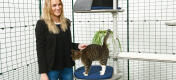 Girl petting her cat which is playing on the Freestyle outdoor cat tree