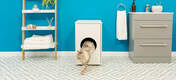 Cat climbing out of Omlet Maya cat litter box furniture