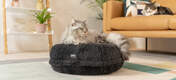 The donut cat bed moulds around your cat’s body as they sink into the cushion, like Sammy here who weighs 5kg.