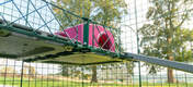 The Zippi Platforms are strong and sturdy, with a wire support balcony to keep guinea pigs safe.