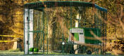 Eglu Cube chicken coop inside a walk in run