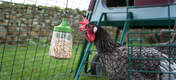 With the Pendant pecking toy you make the run of your chickens even more entertaining.