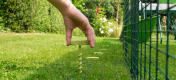 A screw peg being placed in to the ground on the skirting of a walk in run