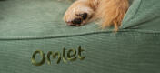 Close up of dog's feet on a comfortable and easy to clean Omlet bolster dog bed