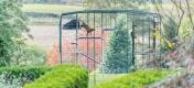 Cat climbing Freestyle outdoor cat tree in Omlet catio outside in the yard