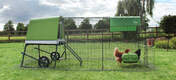 The Eglu Go UP’s heavy duty steel run, in an attractive dark green, protects your hens and blends seamlessly in your backyard.