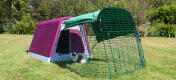 The Eglu Go guinea pig hutch in purple