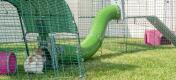 Bunnie in a rabbit run with zippi rabbit tunnel and accessories
