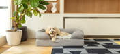 The self-cooling mat will keep your pet cool for several hours, reducing the risk of heatstroke after exercise.