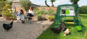 Ladies sitting in the garden with chickens roaming around in front of a large Eglu Cube chicken coop