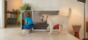 Fido Nook Lux ury dog crate wardrobe keeps dog food leads and clothes tidy