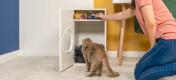 Lady checking the storage of the Maya indoor cat house whilst the cat investigates