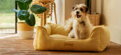 A terrier on a honeycomb pollen nest dog bed.