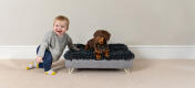 Topology dog bed