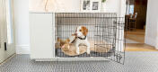 Topology dog bed