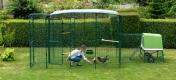 Woman feeding chickens in walk in chicken run with porch