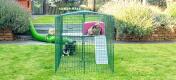 Rabbits in the garden inside their zippi rabbit  run