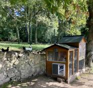 A grey automatic coop door mounted on a wooden chicken coop