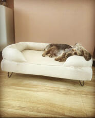 A dog asleep on a white dog bed