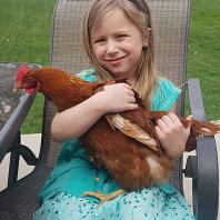 Girl holding chicken