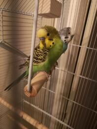 Mikey and Sully! 