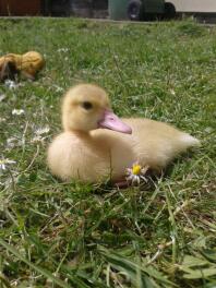 super cute