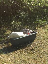 Sharing a bath