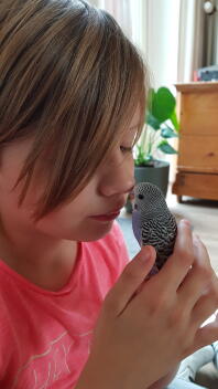 A little girl holding a parakeet.