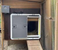 Usual wooden stable with auto-door 