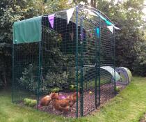 The ladies in their swanky pad, complete with shade/shelter