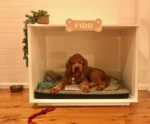 A dog resting in the Fido dog house.