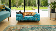 German shepherd lying on a blue doodle dog print bolster bed