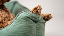 Detail of a dog's paws resting in a moss green cod nest bed