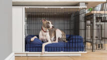 Dog sat on blue bolster bed inside Fido Studio dog crate.