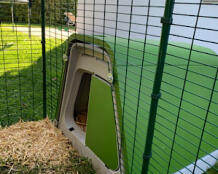 Omlet green Eglu Go rabbit hutch connected to Omlet walk in rabbit run