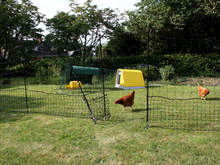 Omlet Chicken Fencing - 39ft - Inc. Gate and Double Spike Poles